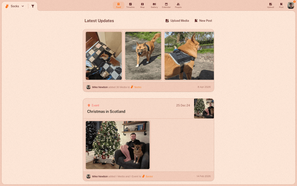 A lovd feed showing a photo album and an event post side by side
