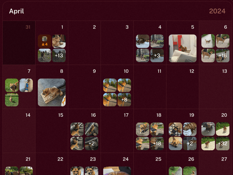 Screenshot of the lovd calendar view showing photos organised by date