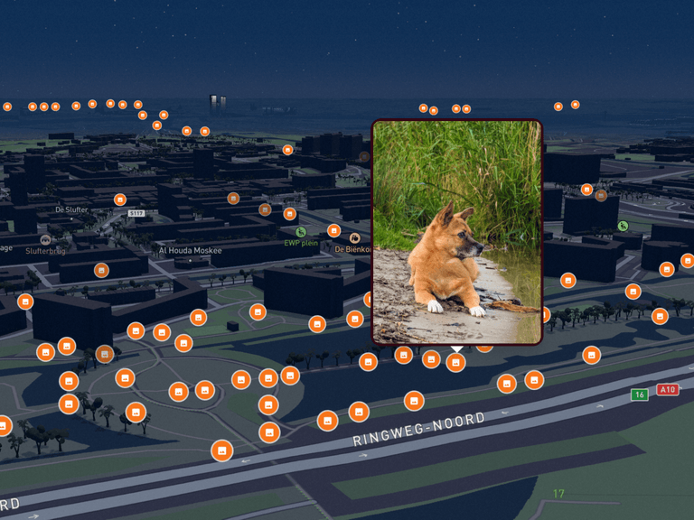 Screenshot of the lovd map view showing photos pinned by location